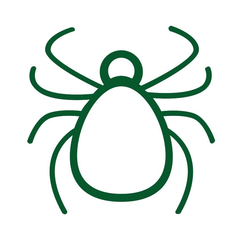 Fleas, ticks and worms