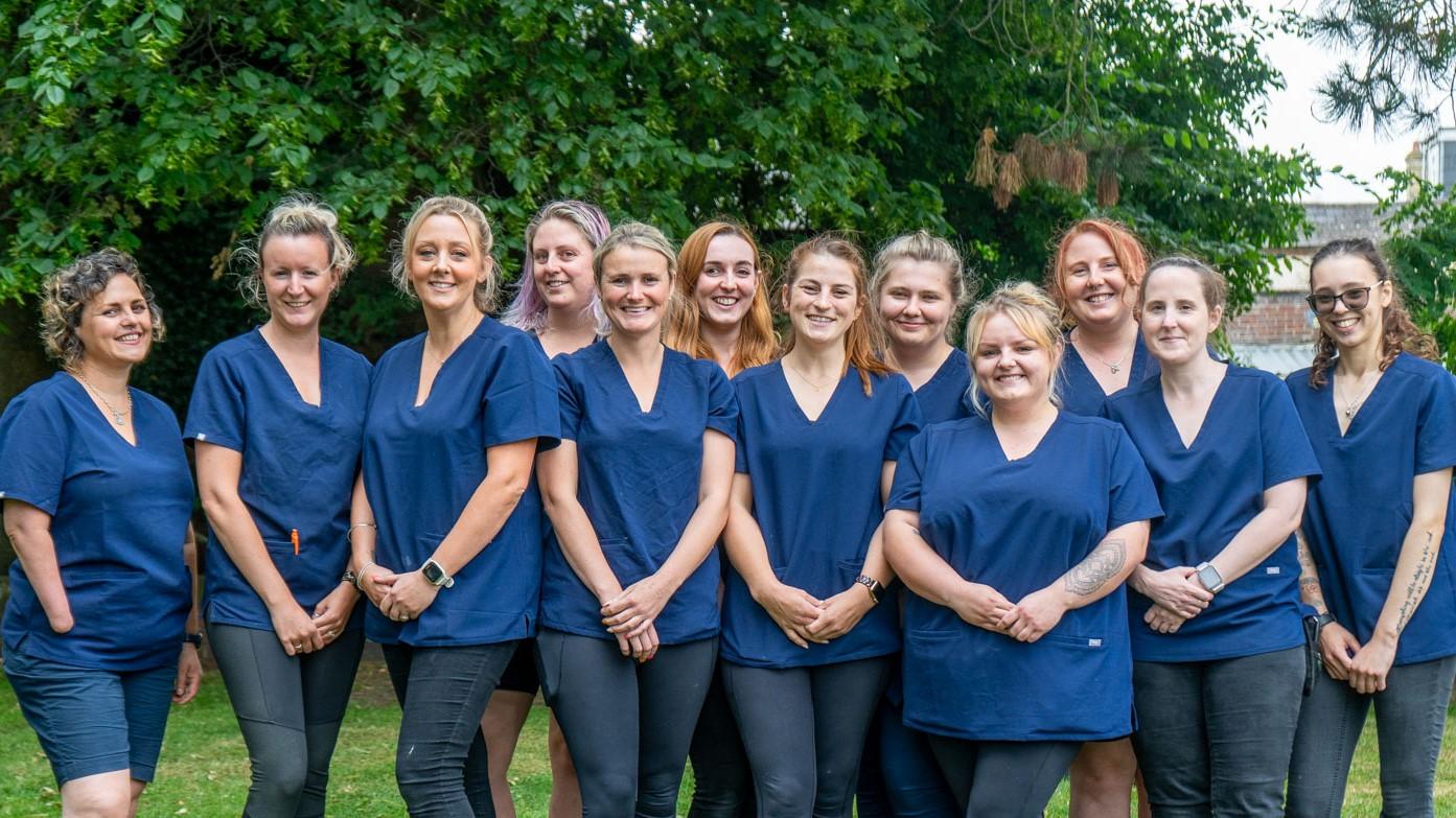 Nurse Team