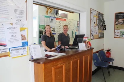Receptionists